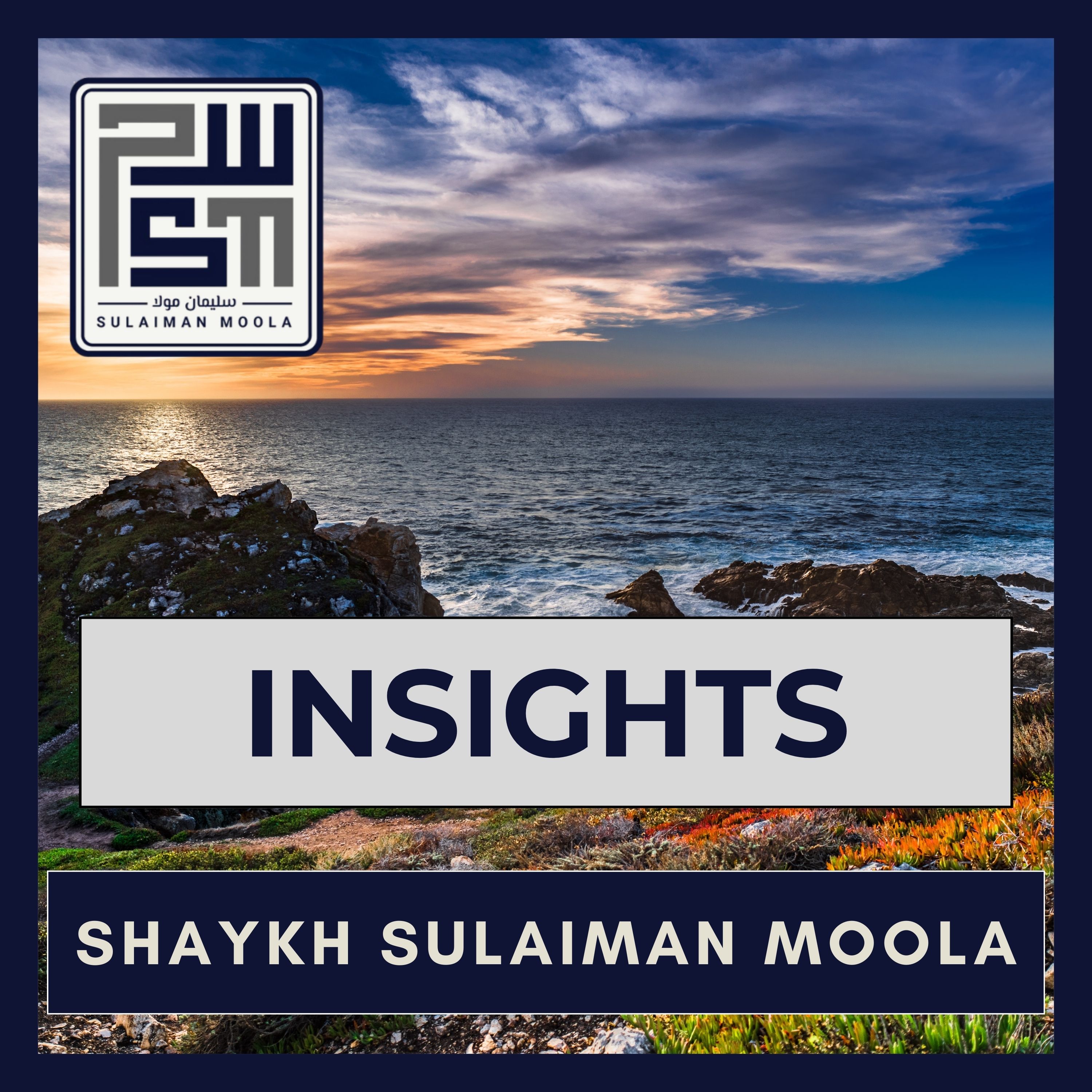 S Moola: Insights