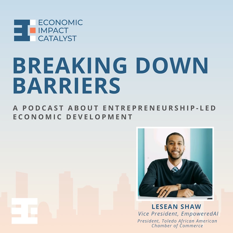 Artwork for podcast Breaking Down Barriers