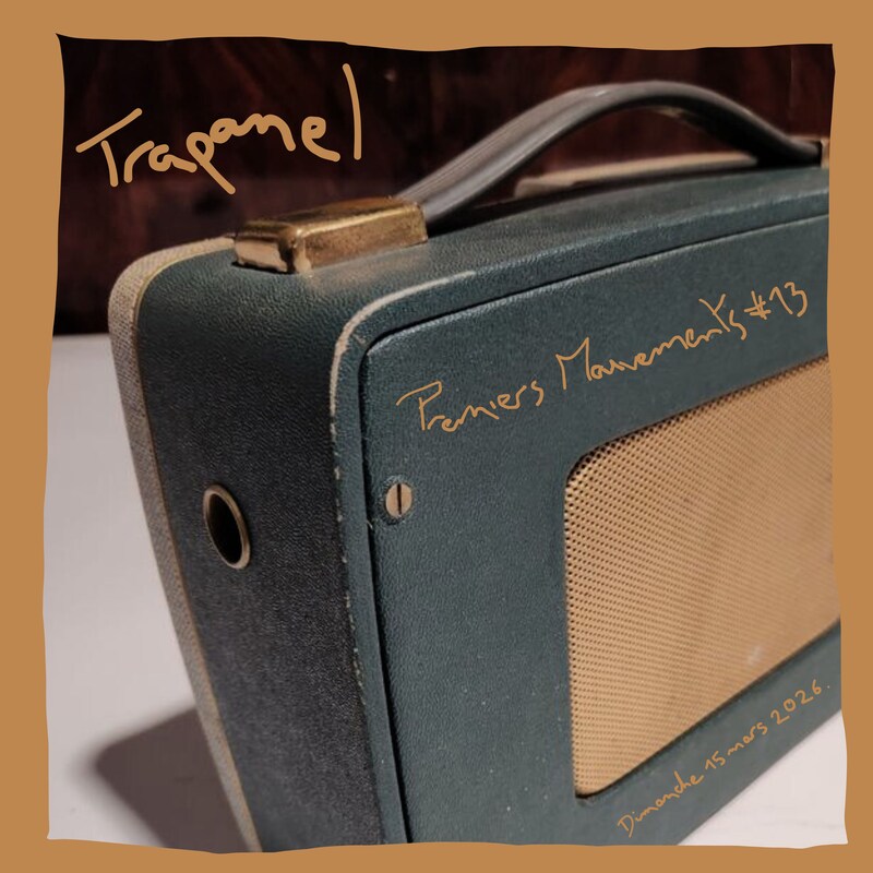 Artwork for podcast TRAPANEL