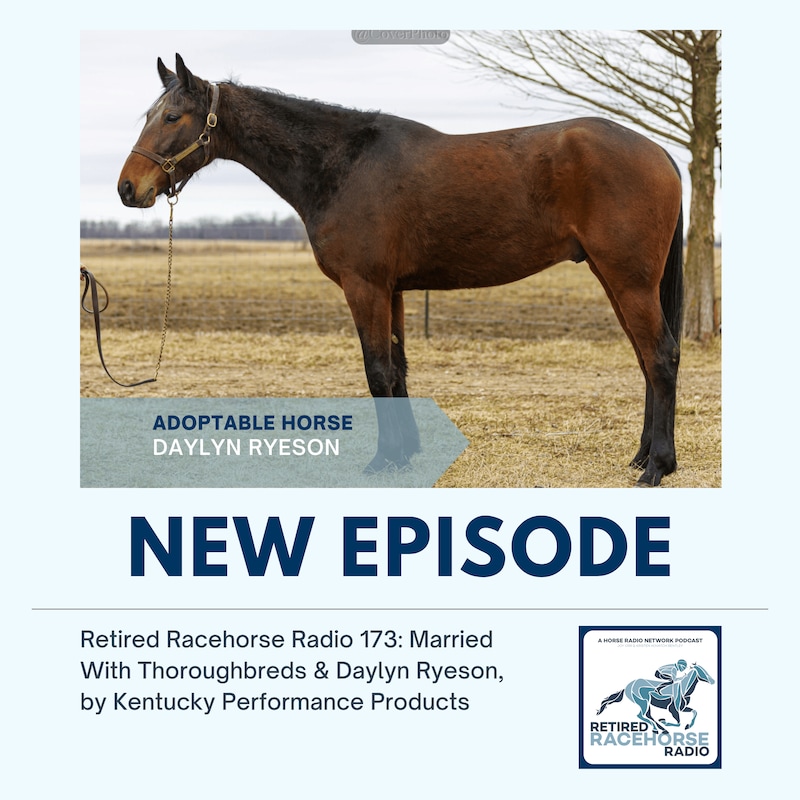 Artwork for podcast Retired Racehorse Radio