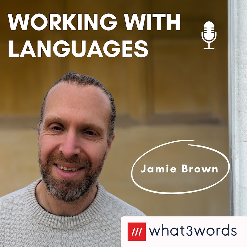 Artwork for podcast Working With Languages