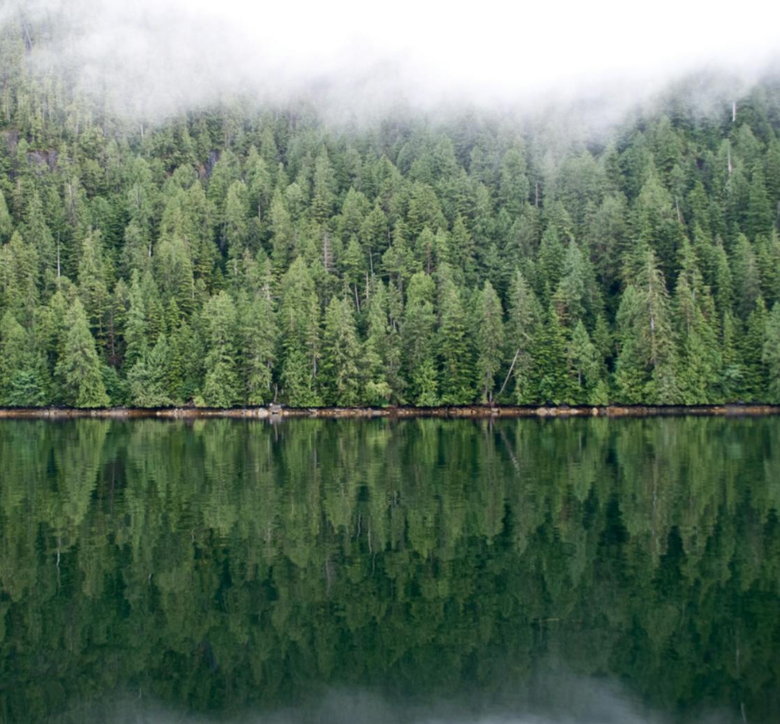 In the Valleys of the Noble Beyond: In Search of the Sasquatch with Writer John Zada