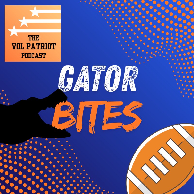 Artwork for podcast The Vol Patriot Podcast