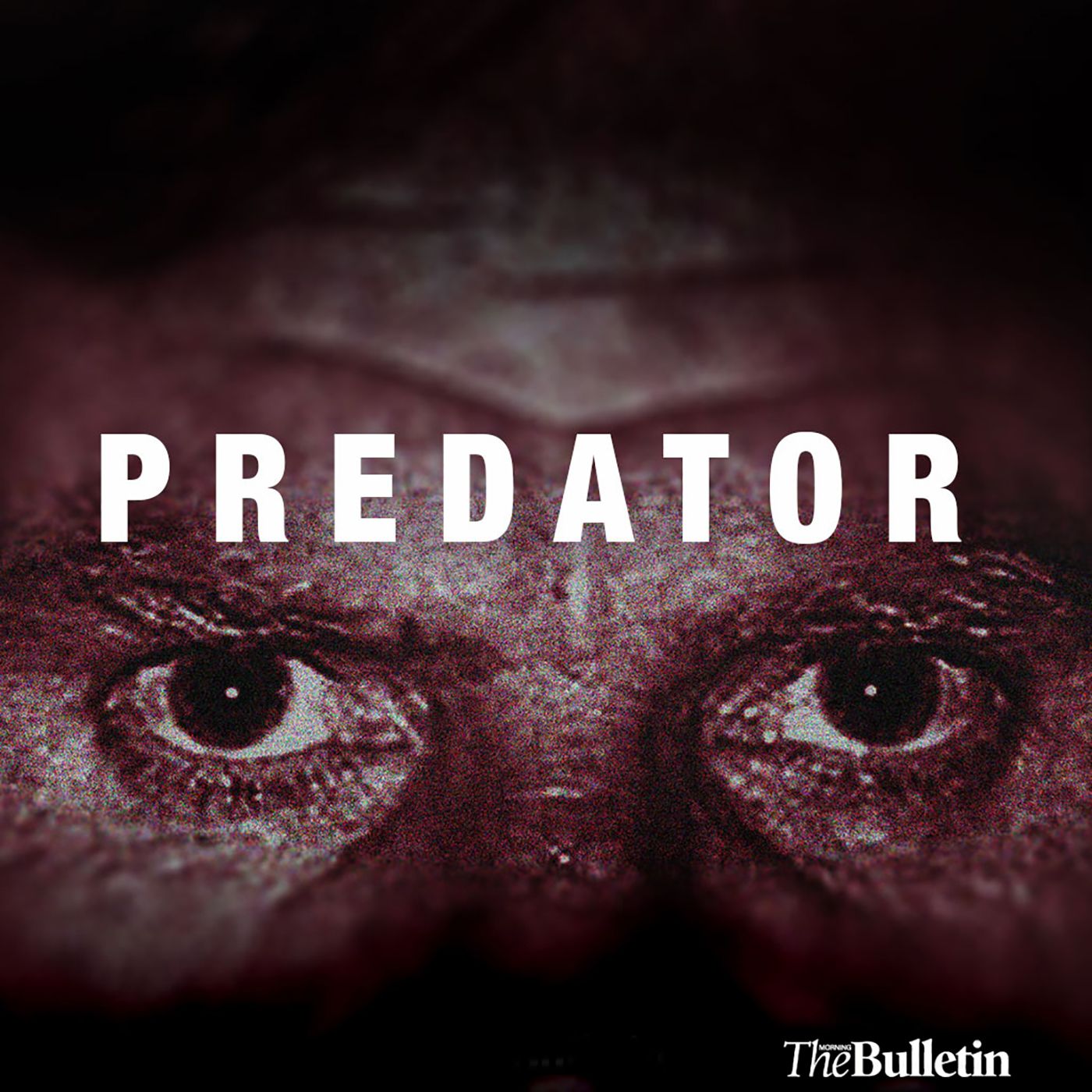 Artwork for Predator