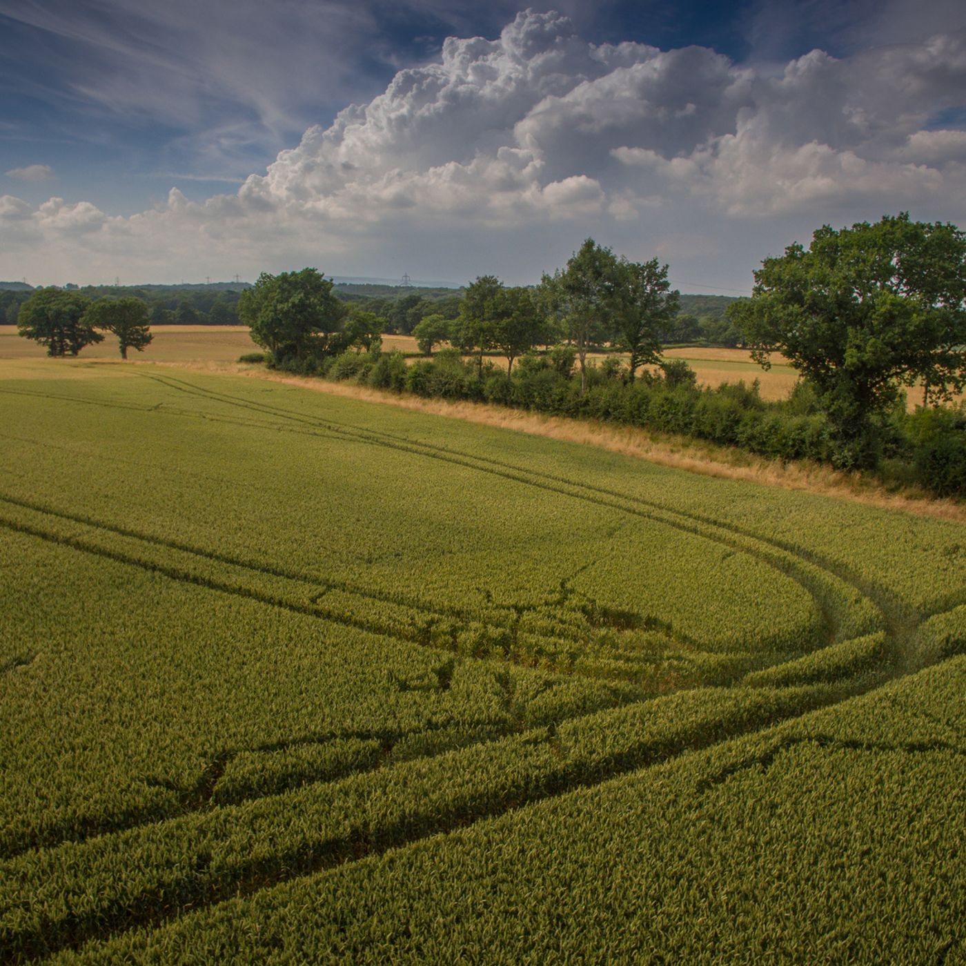 52: Weather-savvy farming