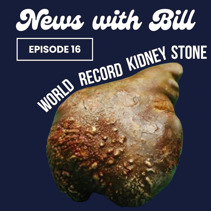 Artwork for podcast News with Bill