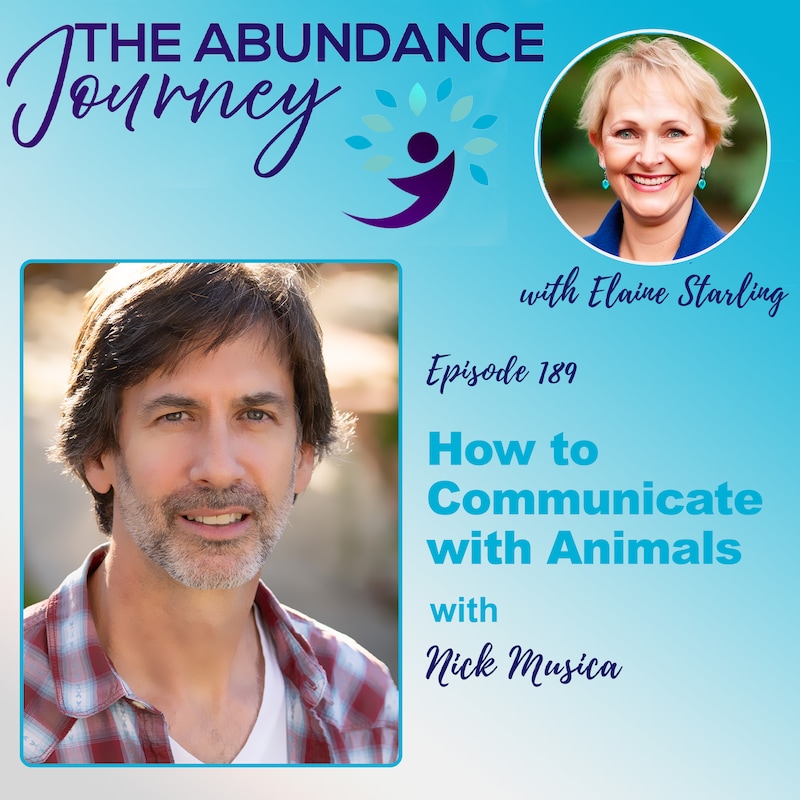Artwork for podcast The Abundance Journey: Accelerating Revenue With An Abundance Mindset
