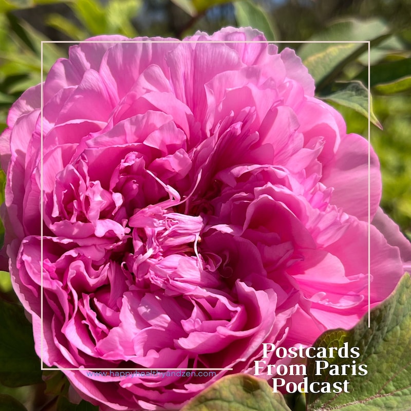 Artwork for podcast Postcards From Paris