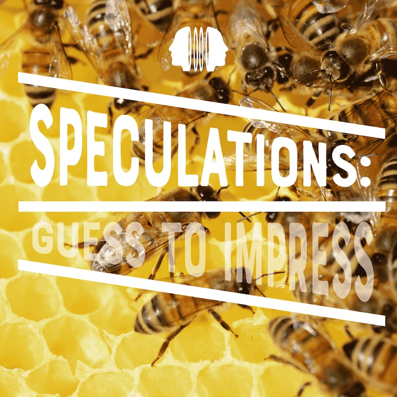Artwork for podcast Speculations: Guess to Impress