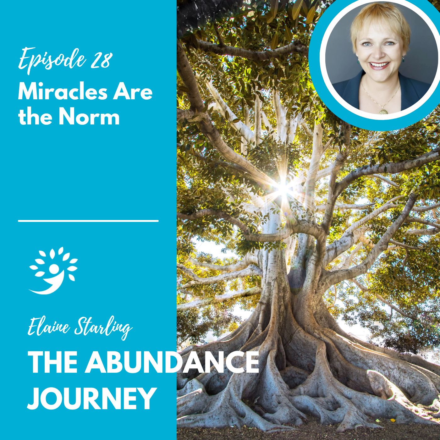 Miracles Are the Norm with Elaine Starling