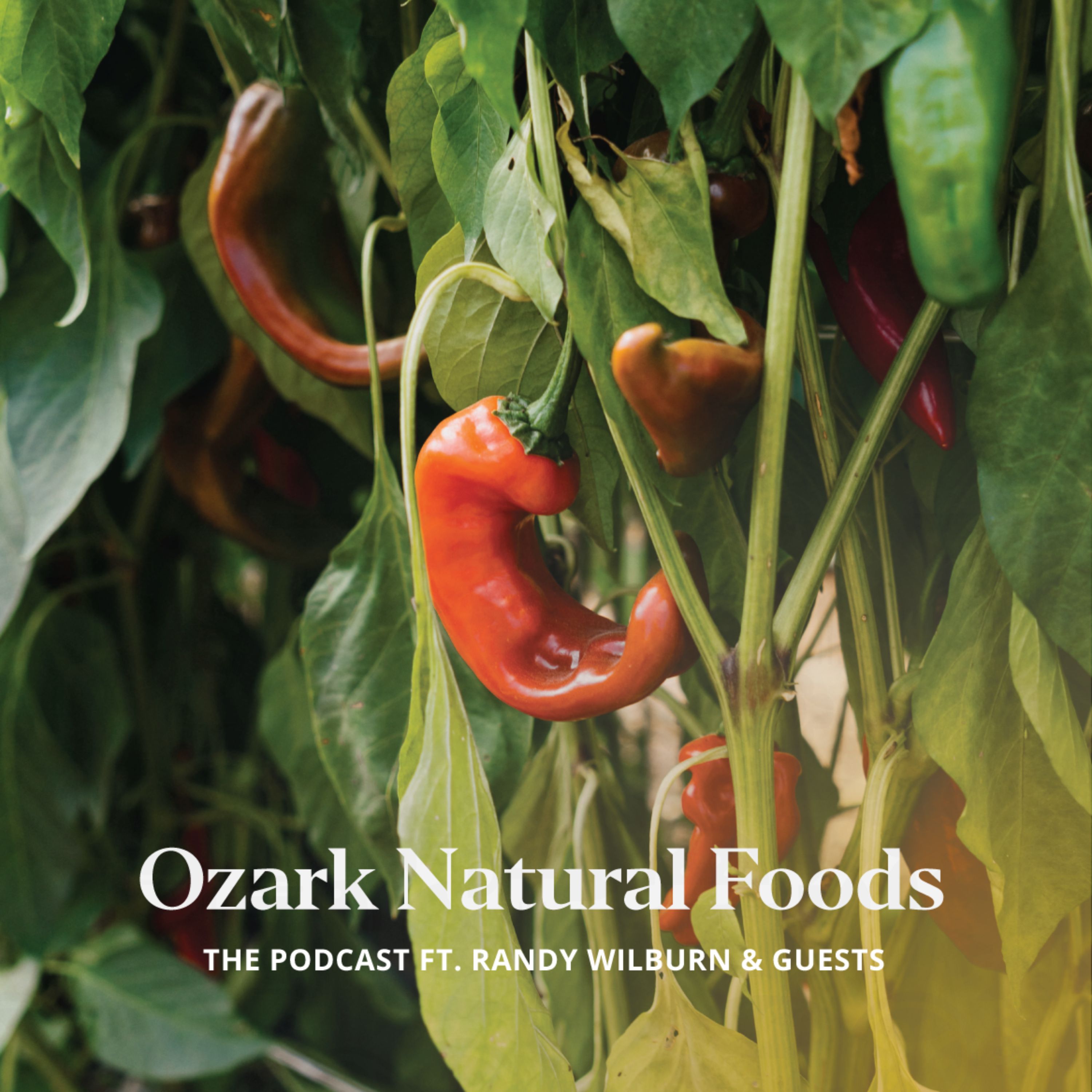 Ozark Natural Foods The Co-Op Podcast