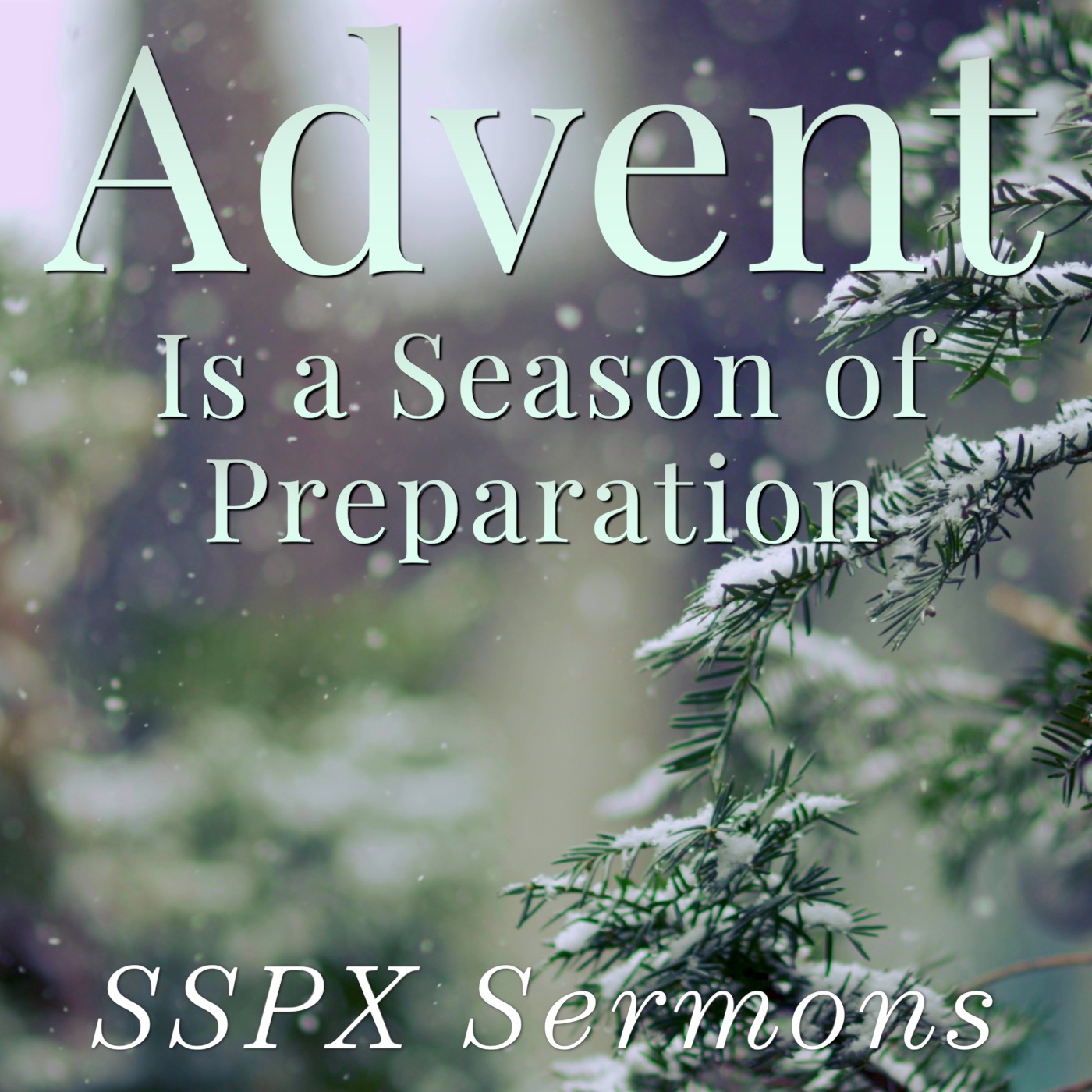 Advent Is a Season of Preparation – SSPX Sermons