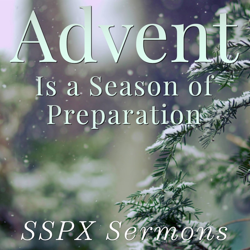 Artwork for podcast SSPX Sermons