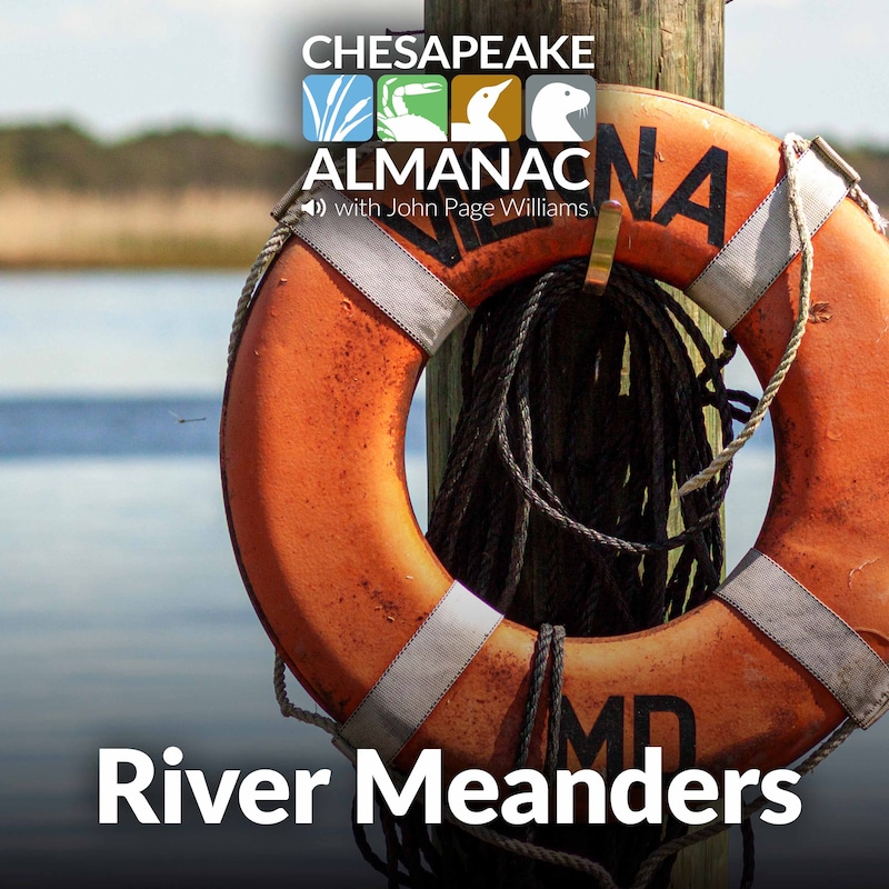 Artwork for podcast Chesapeake Almanac