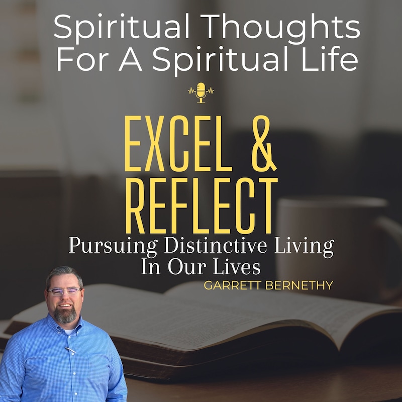 Artwork for podcast Excel & Reflect