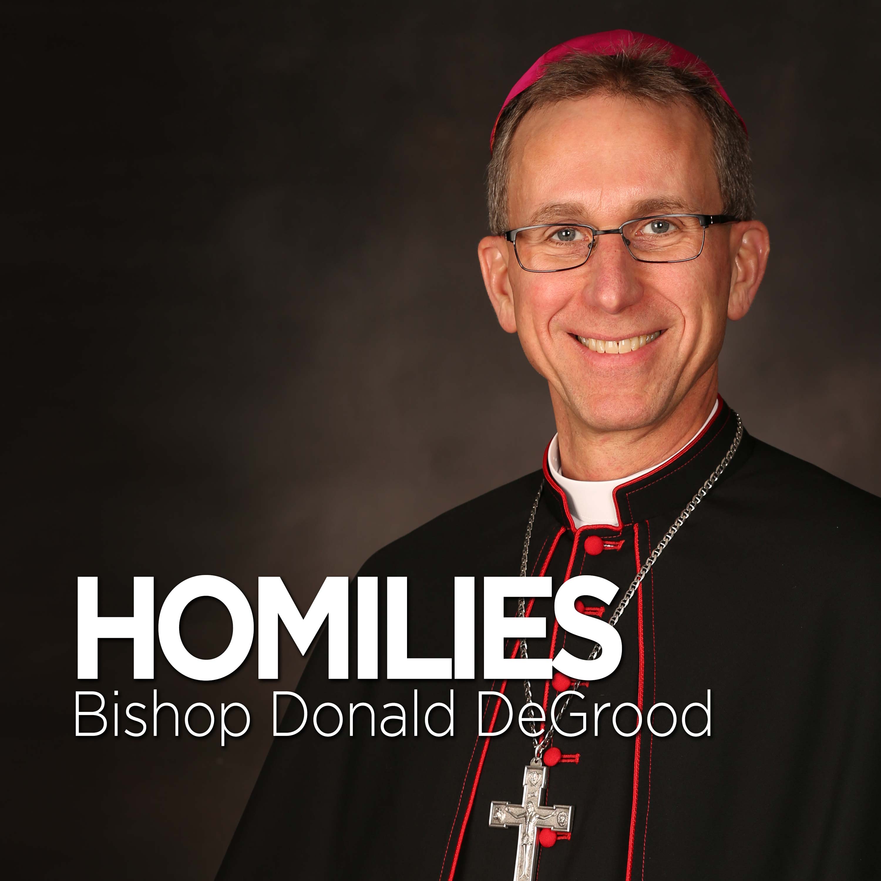 Artwork for podcast Bishop Donald DeGrood Homilies