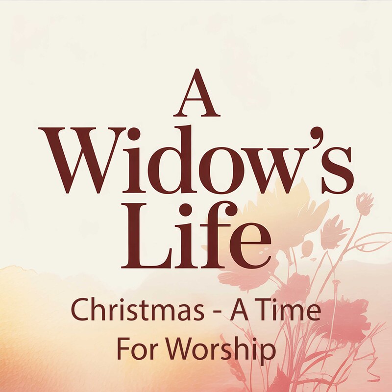 Artwork for podcast A Widow's Life