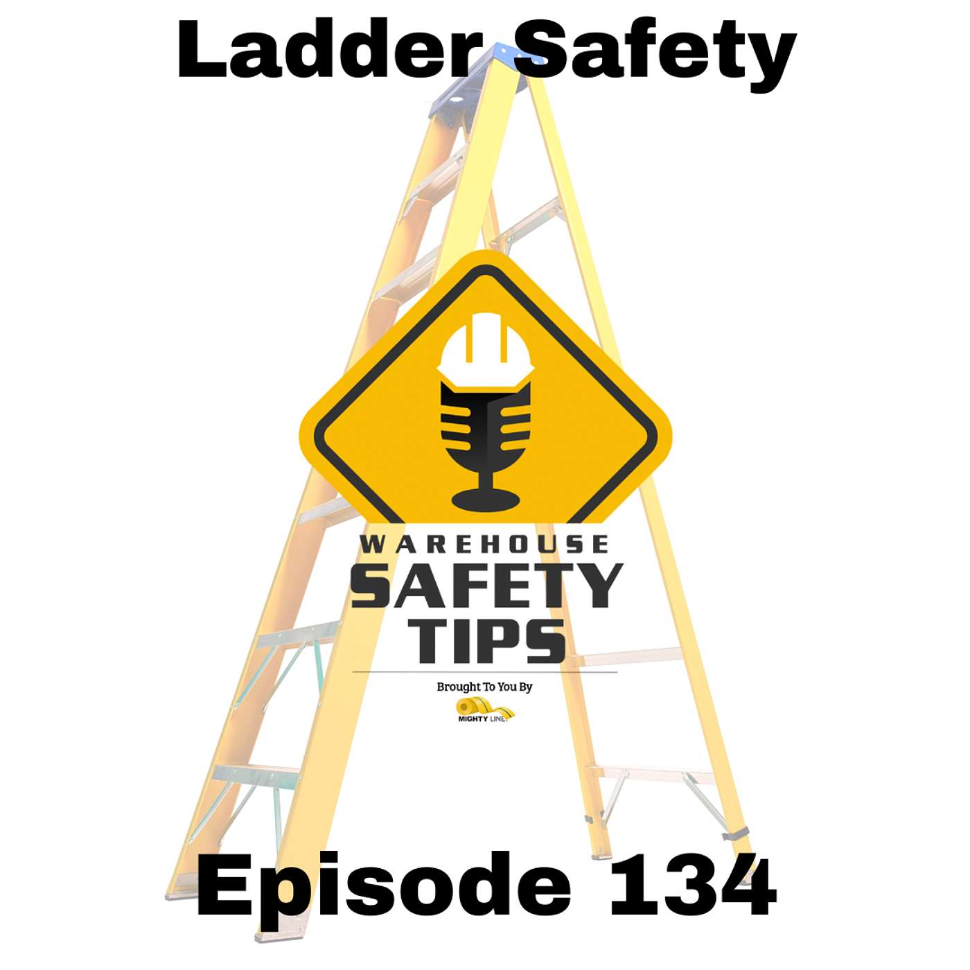 S3 Ep134: Warehouse Safety Tips | Episode 134 | Ladder Safety