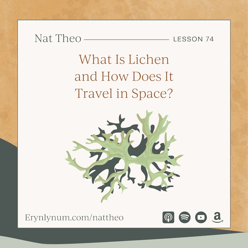 Artwork for podcast Nat Theo Nature Lessons Rooted in the Bible