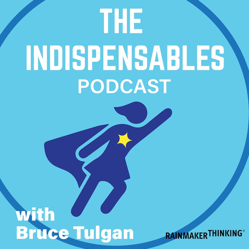 Artwork for podcast The Indispensables