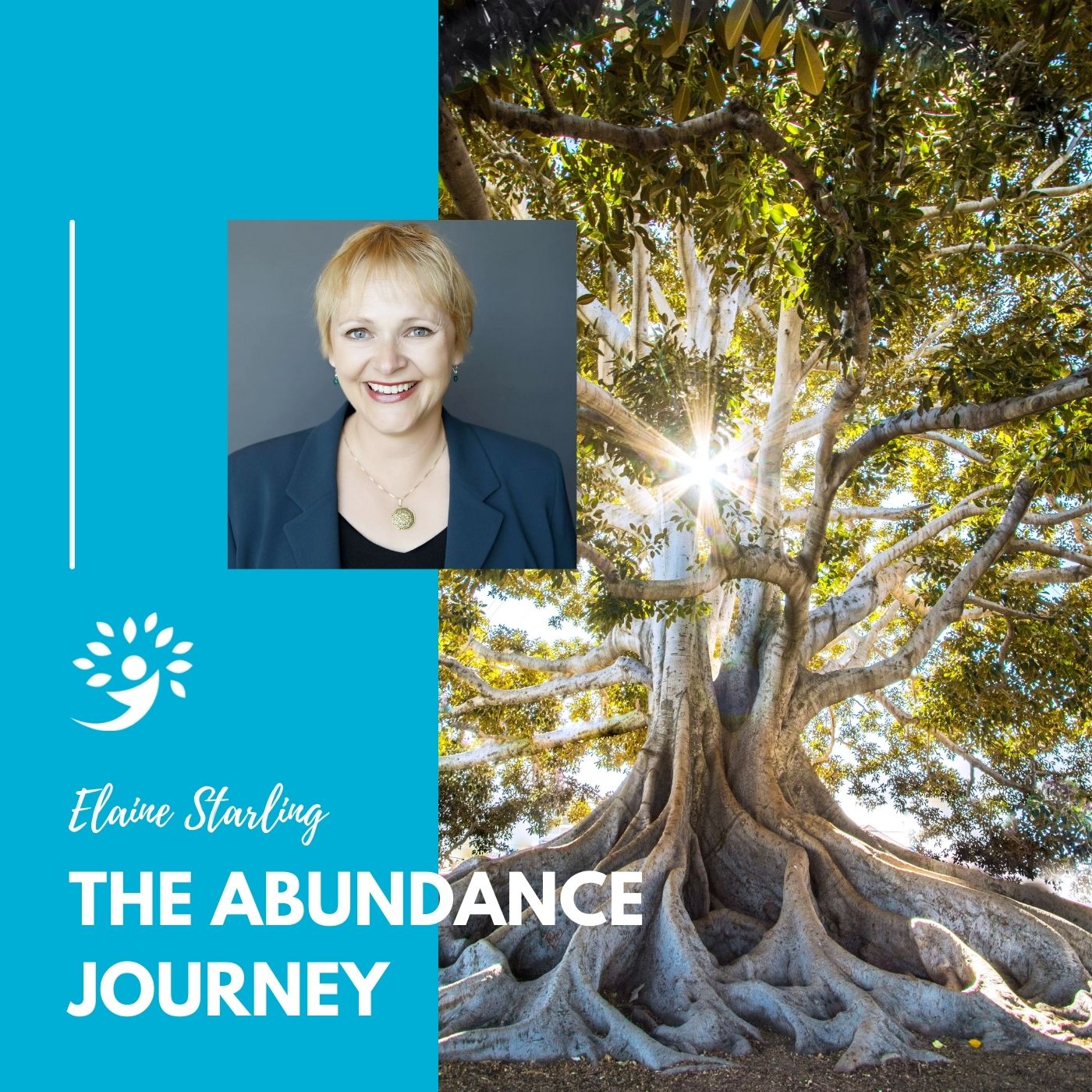 The Abundance Journey Album Art