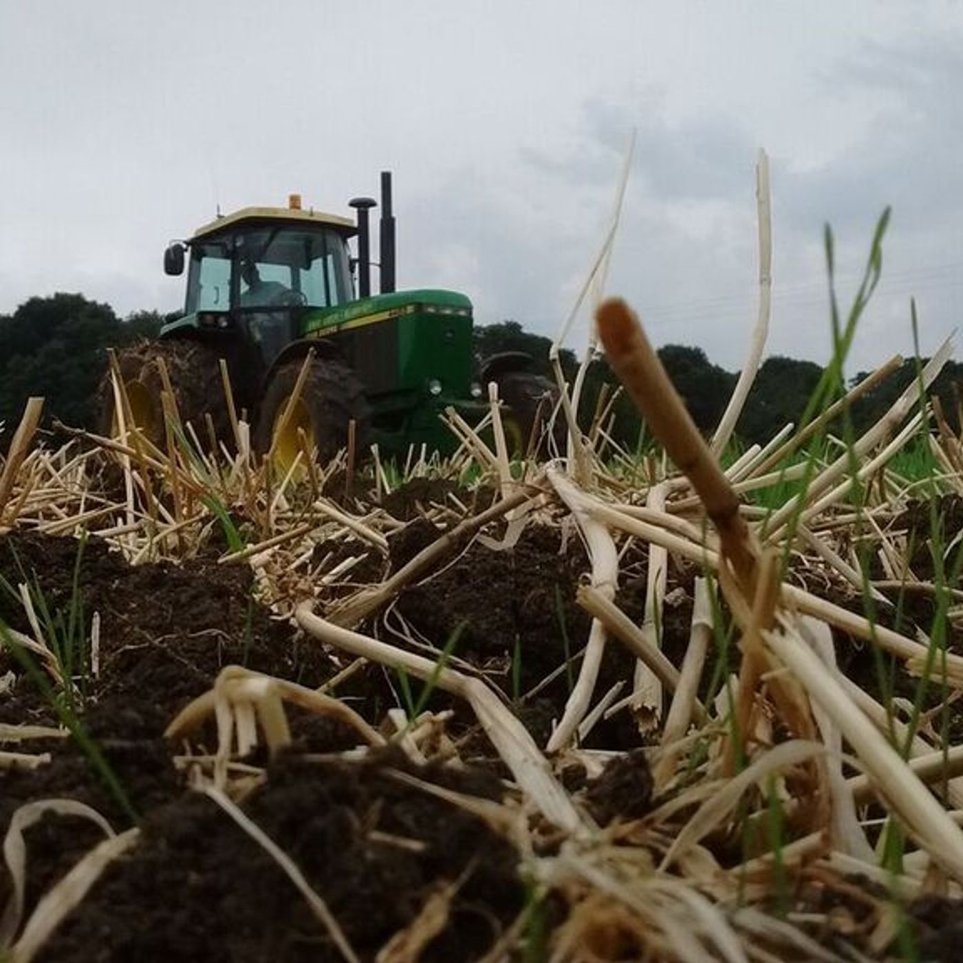 AHDB Food & Farming