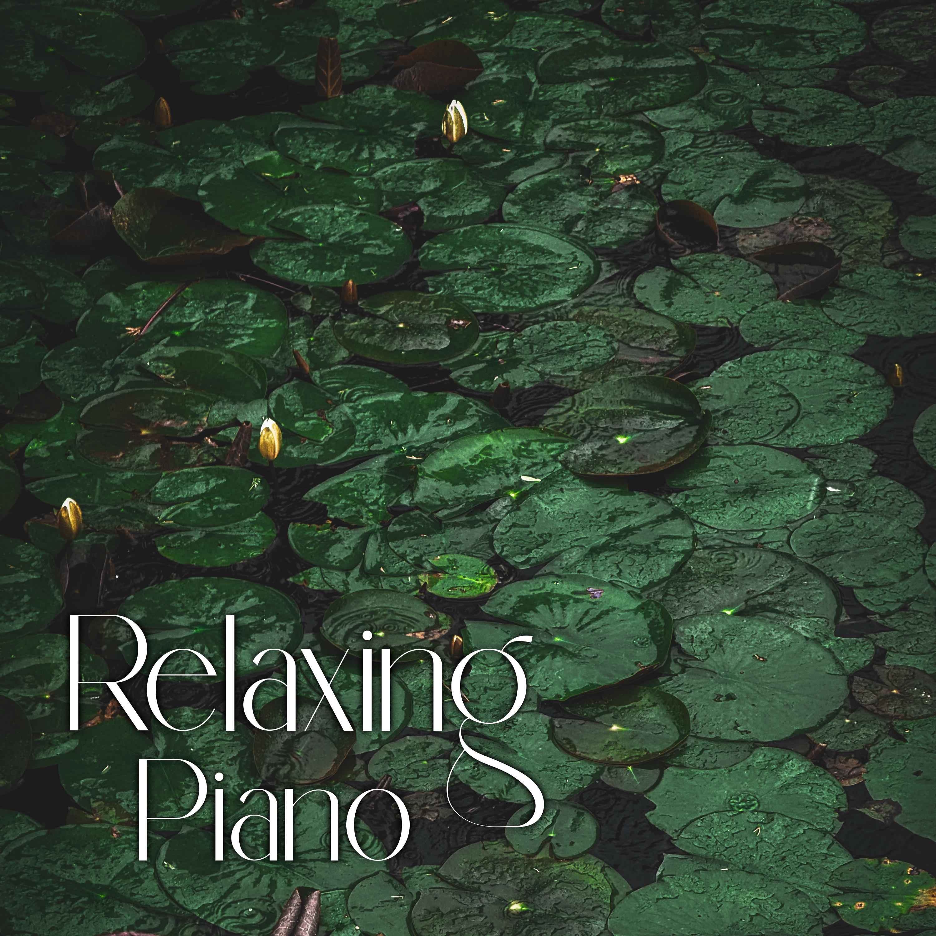 4 Hours of Relaxing Piano with Gray Treefrogs - "Midnight Bloom"