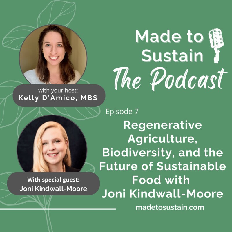 Artwork for podcast Made to Sustain