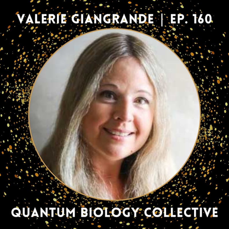 Artwork for podcast The Quantum Biology Collective Podcast