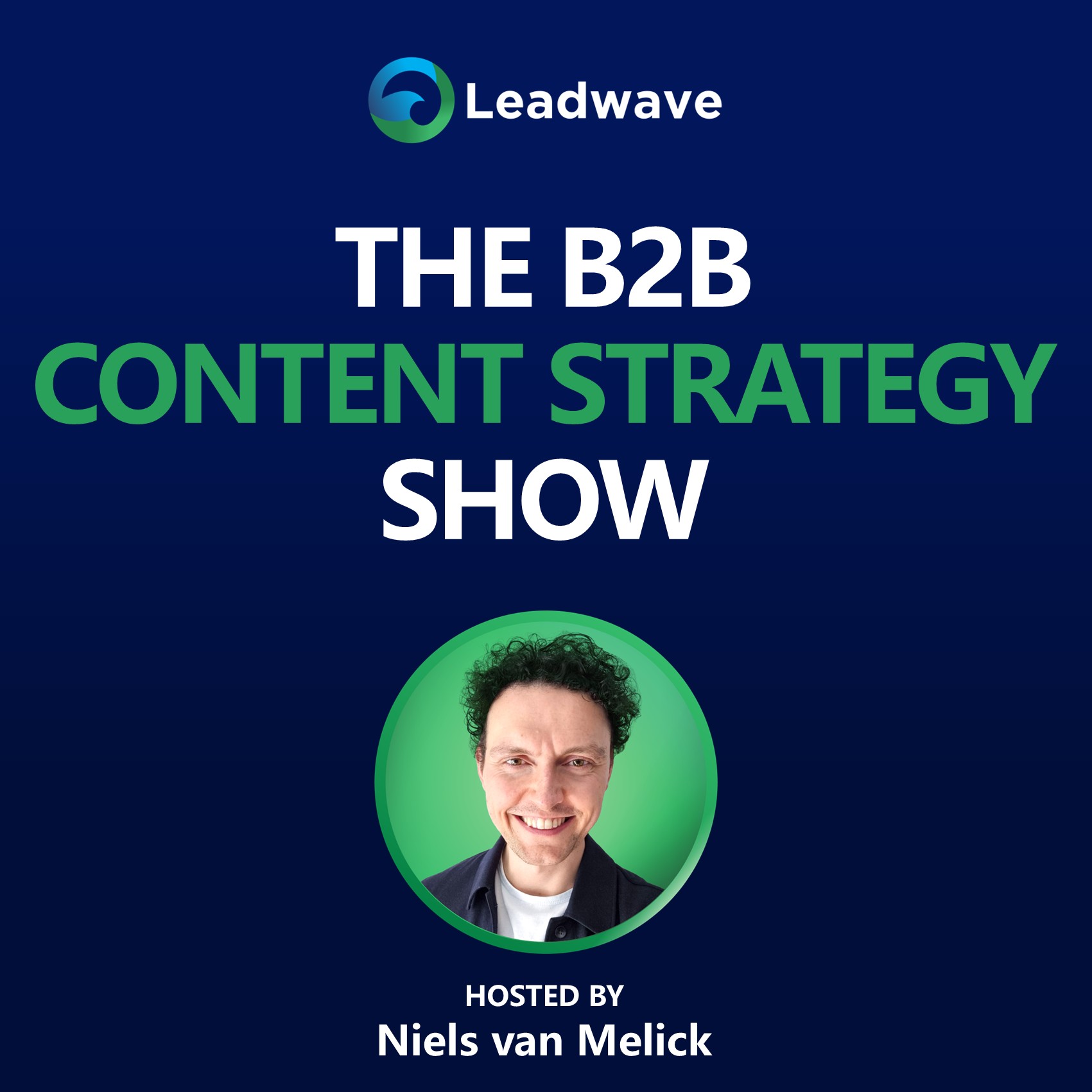 The B2B Content Strategy Show