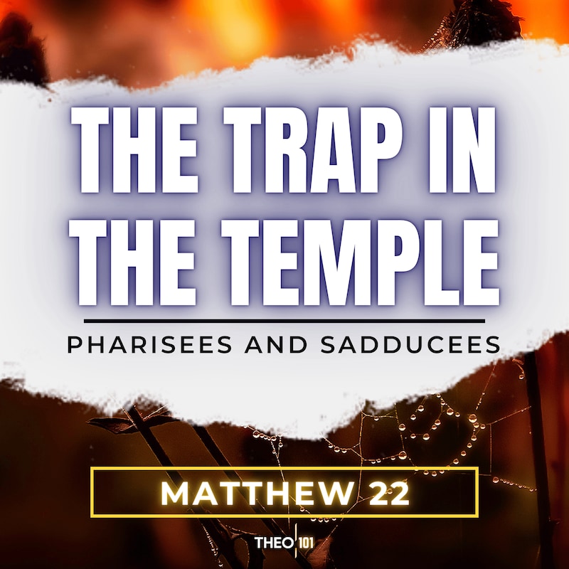 Artwork for podcast Matthew Explained: A Bible Study