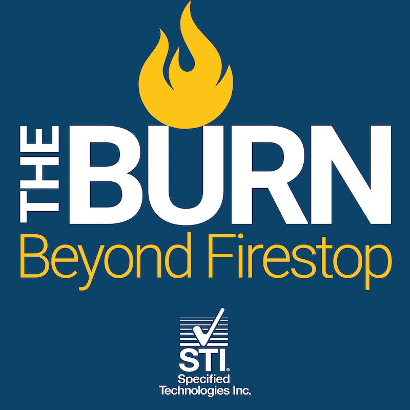 Artwork for podcast The Burn
