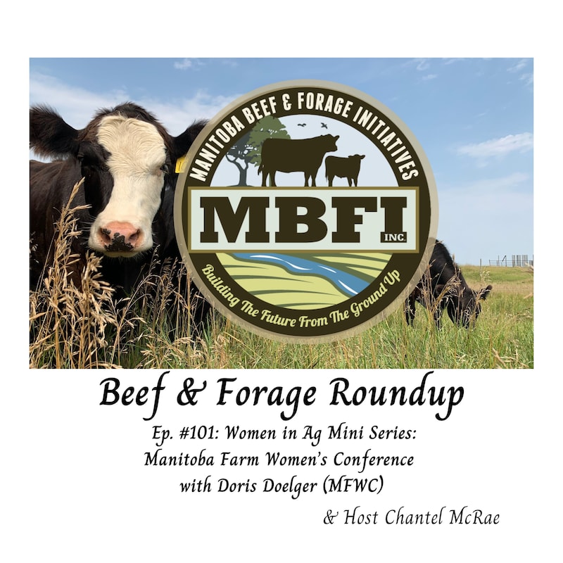 Artwork for podcast Beef and Forage Roundup