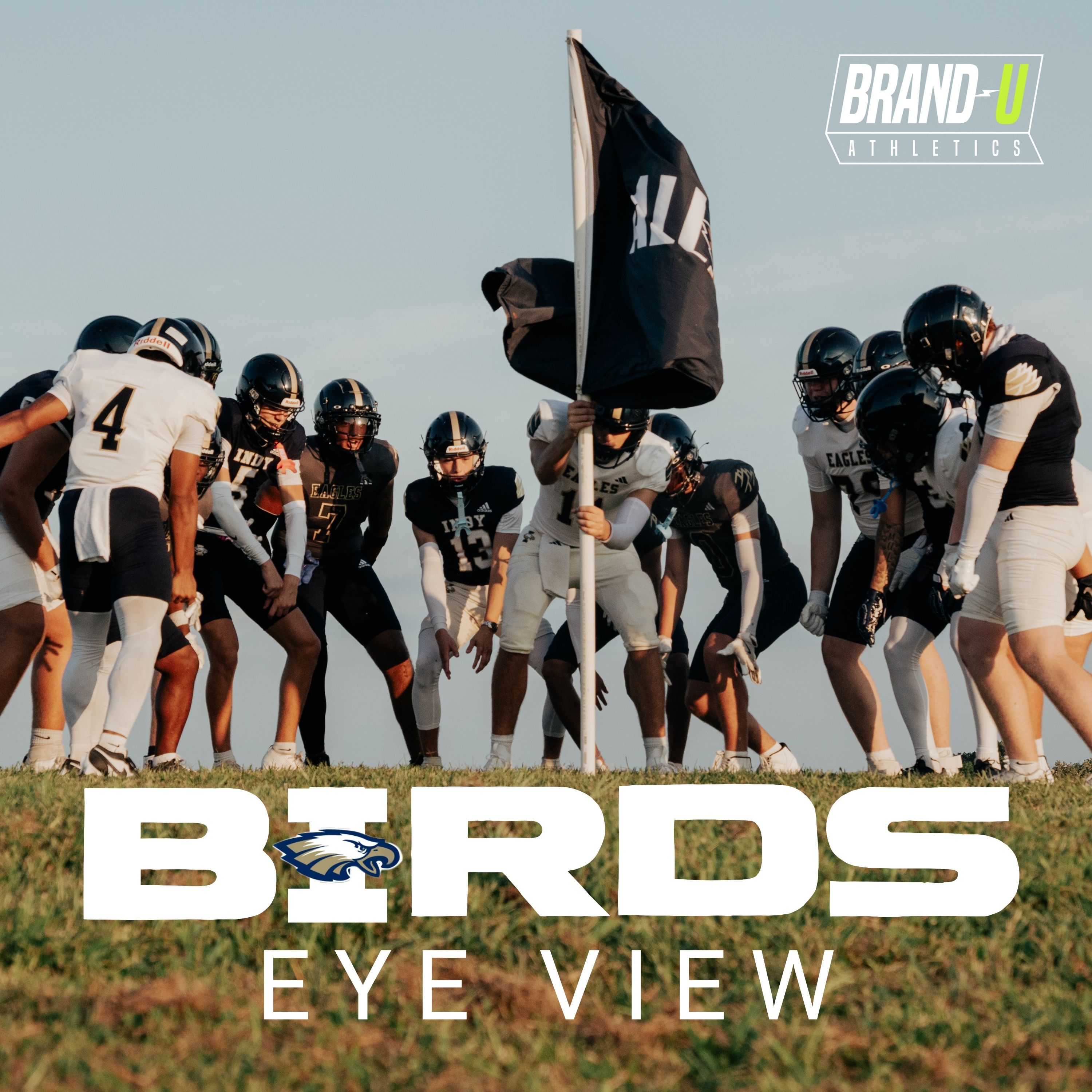 Birds Eye View