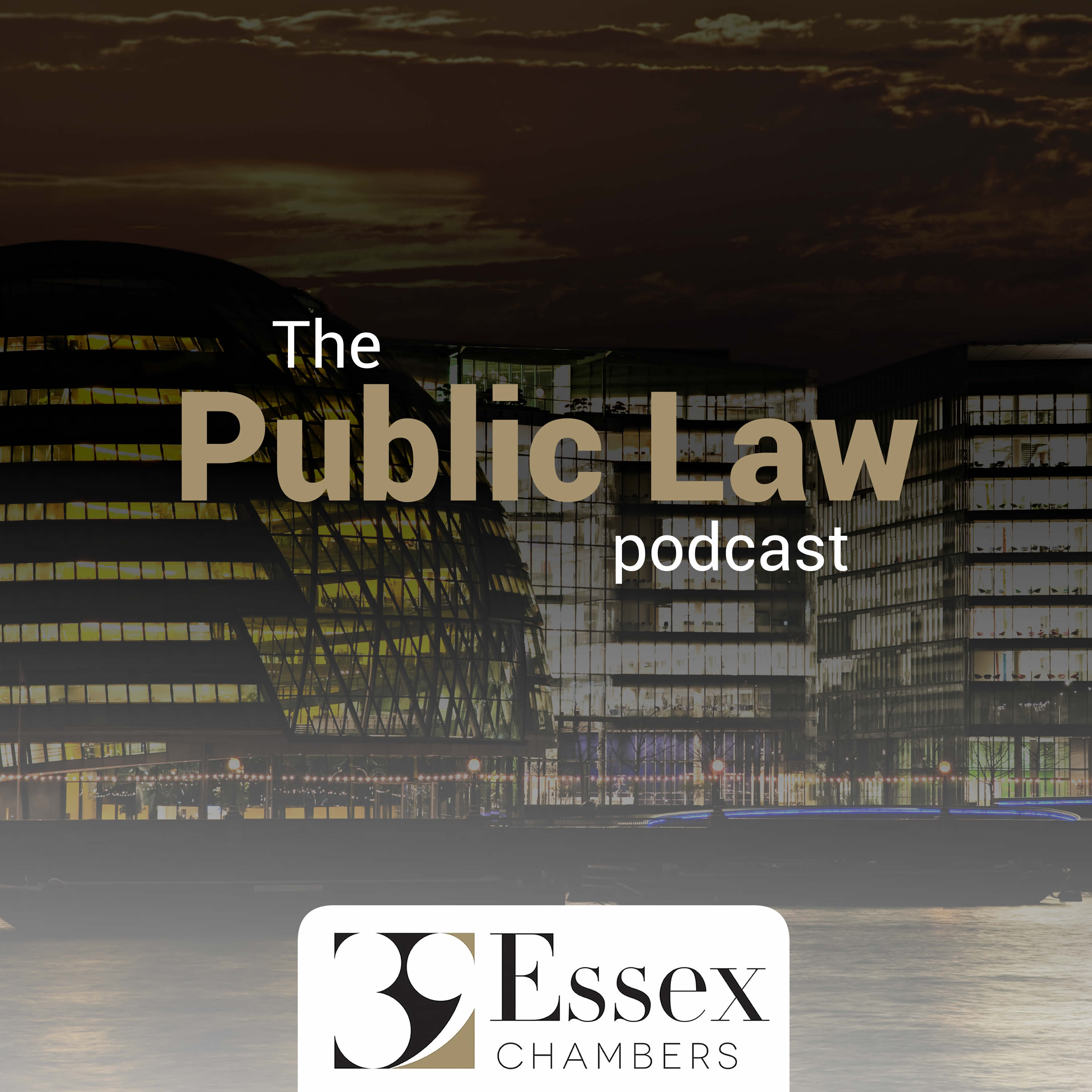 Artwork for podcast The Public Law Podcast