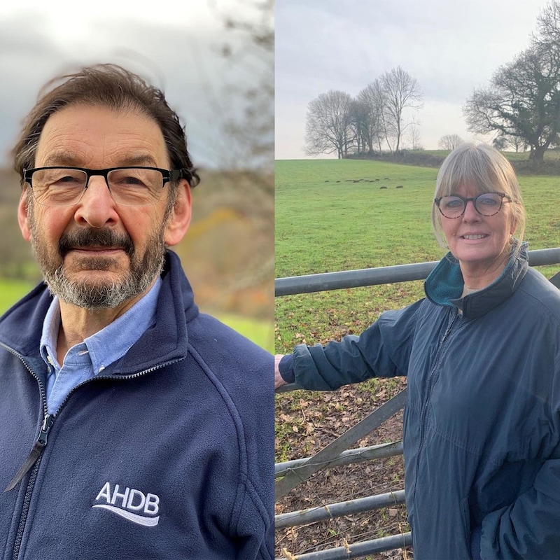 Artwork for podcast AHDB Food & Farming