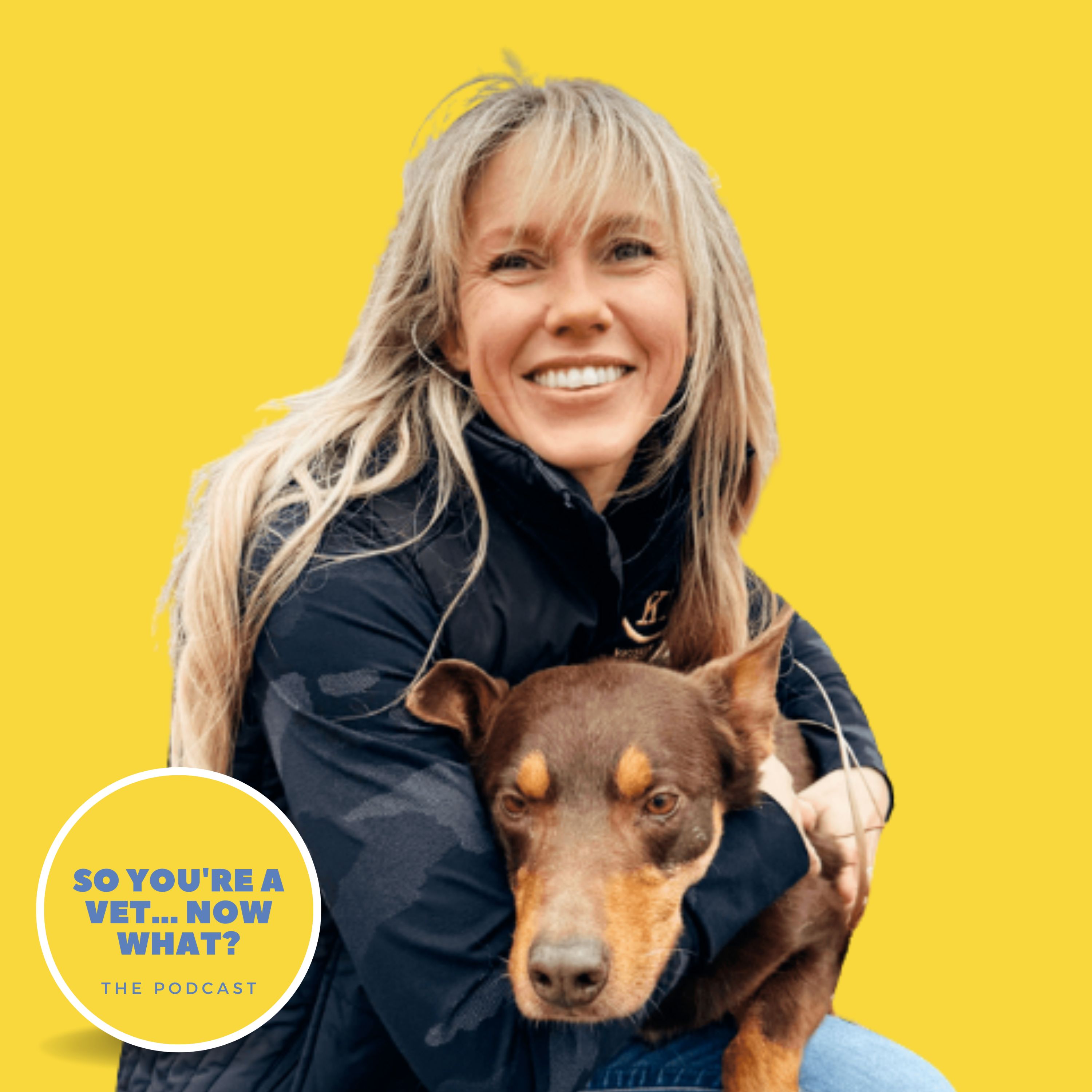 The \'So You\'re A Vet... Now What?\' Podcast