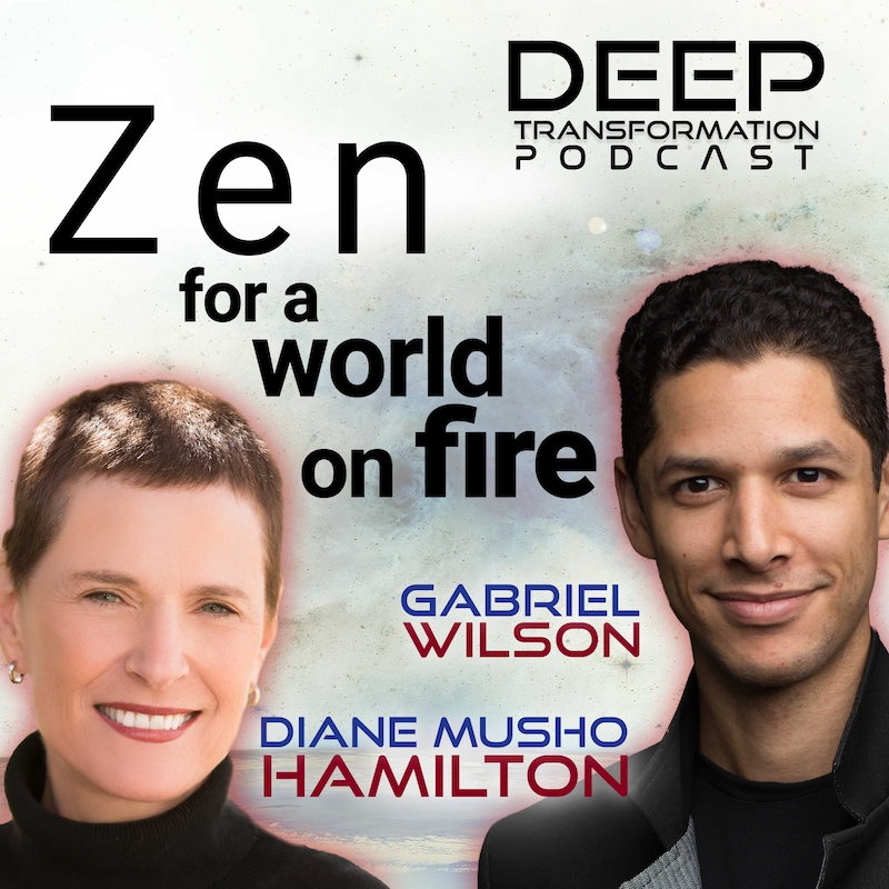 Artwork for podcast Deep Transformation