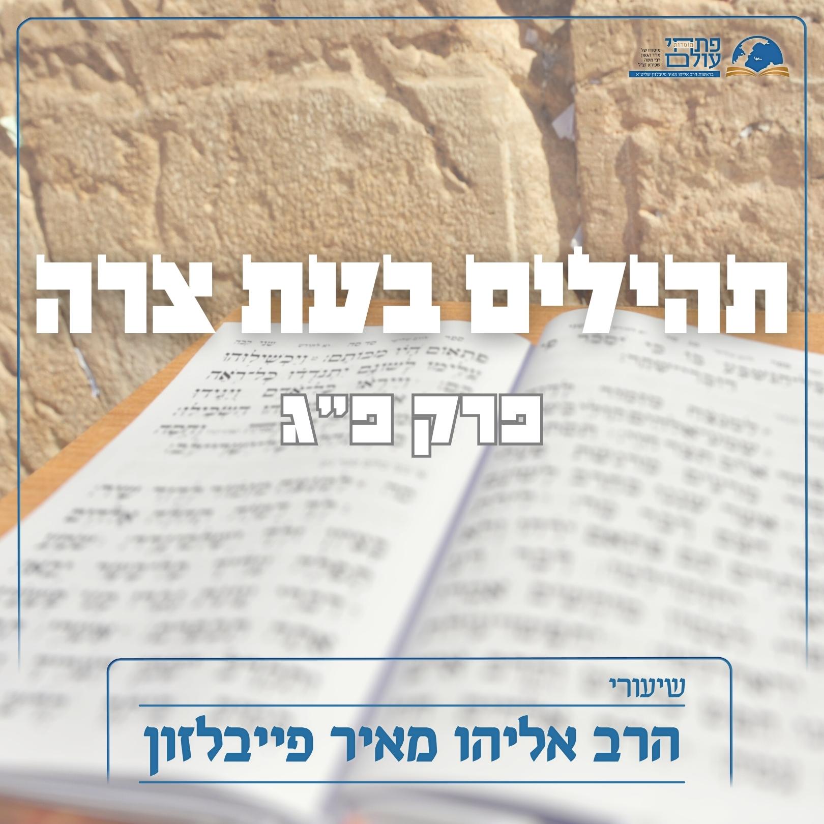 תהילים בעת צרה - פרק פ"ג episode artwork