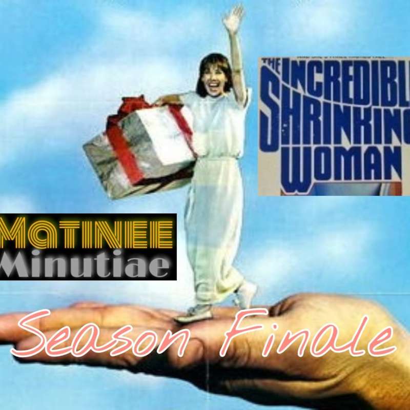 The Incredible Shrinking Woman (1981) episode artwork