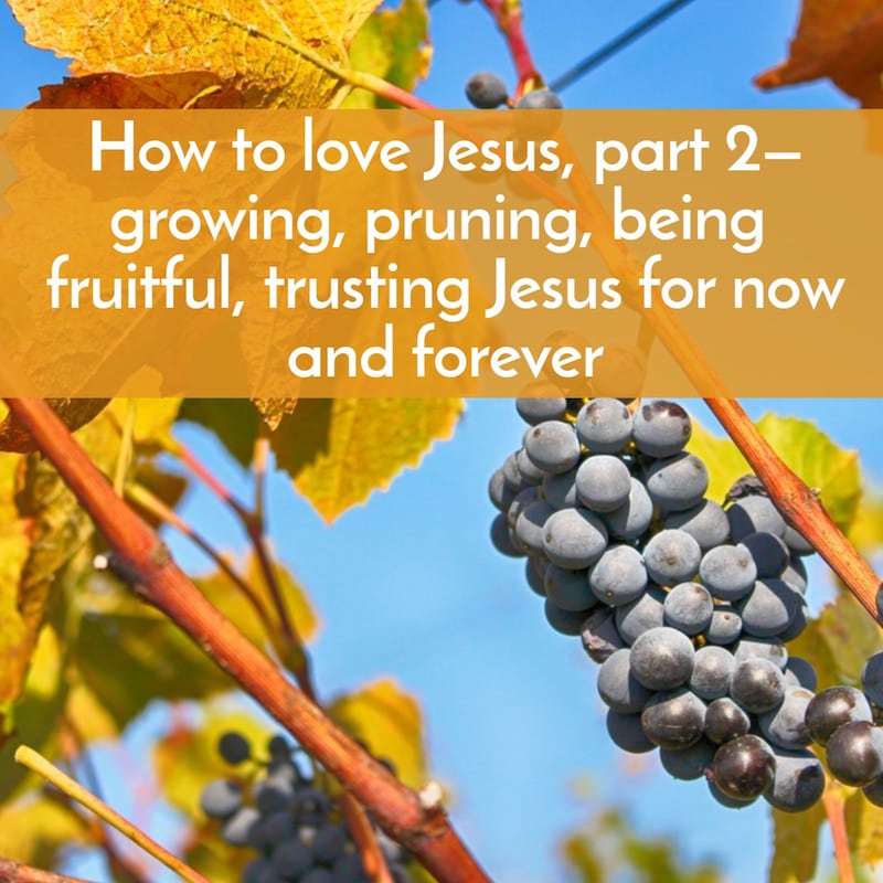 Artwork for podcast Bible805, Lessons and commentary to help you know, trust, apply, and teach the Bible