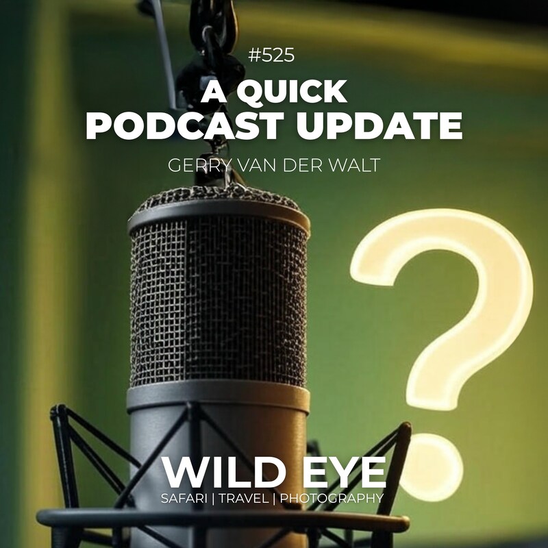 Artwork for podcast The Wild Eye Podcast