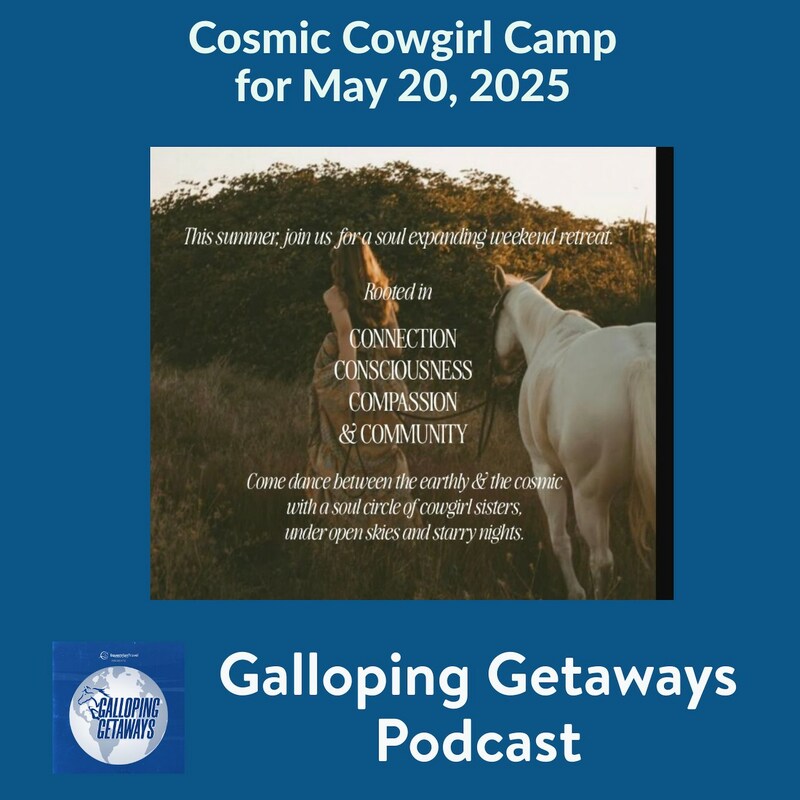 Artwork for podcast HORSES IN THE MORNING
