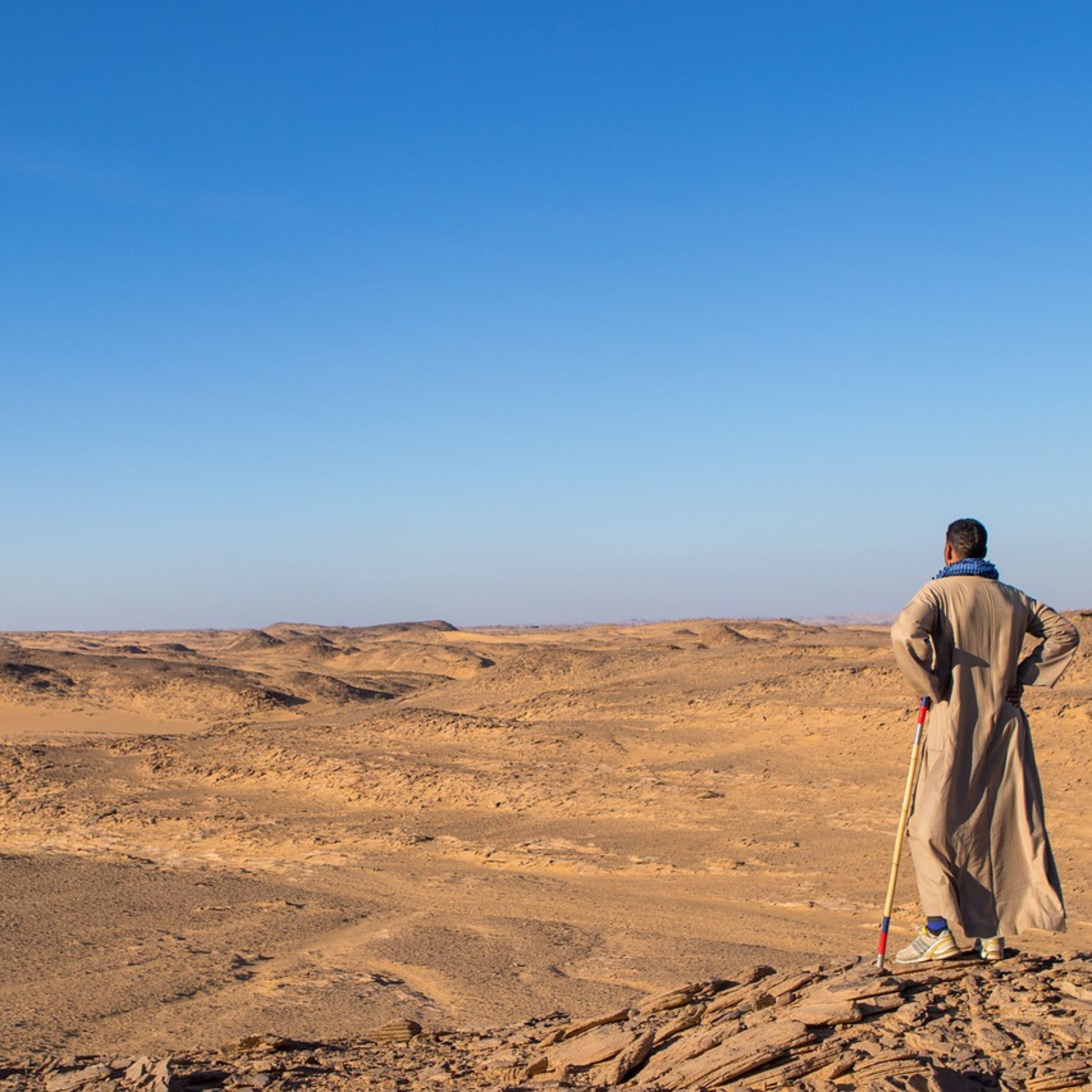 12. Hope for the Hopeless: Moses, Pharaoh and the Faithful God Part 2