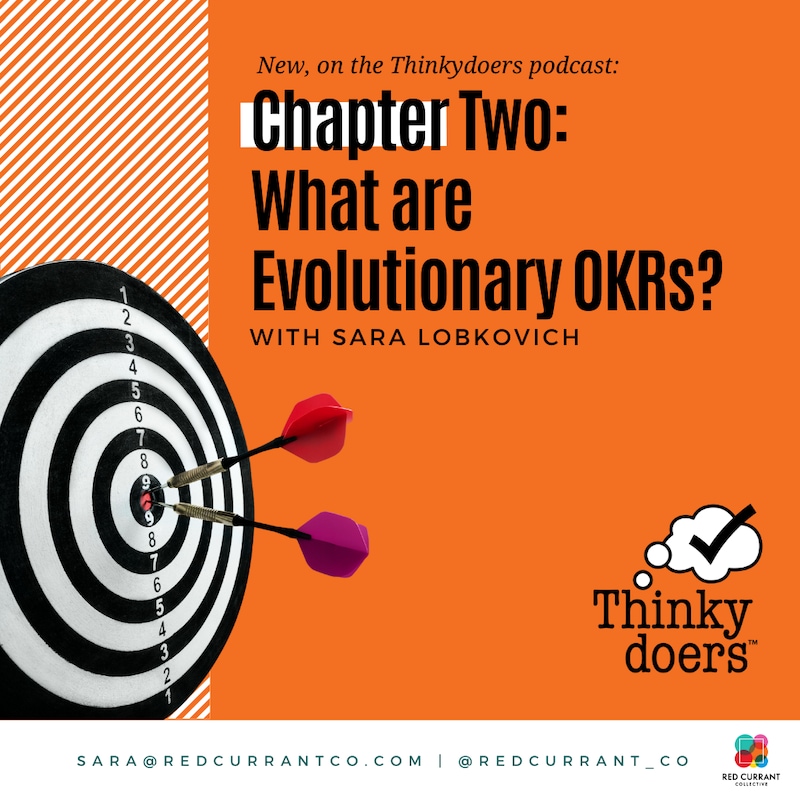 Artwork for podcast Thinkydoers®