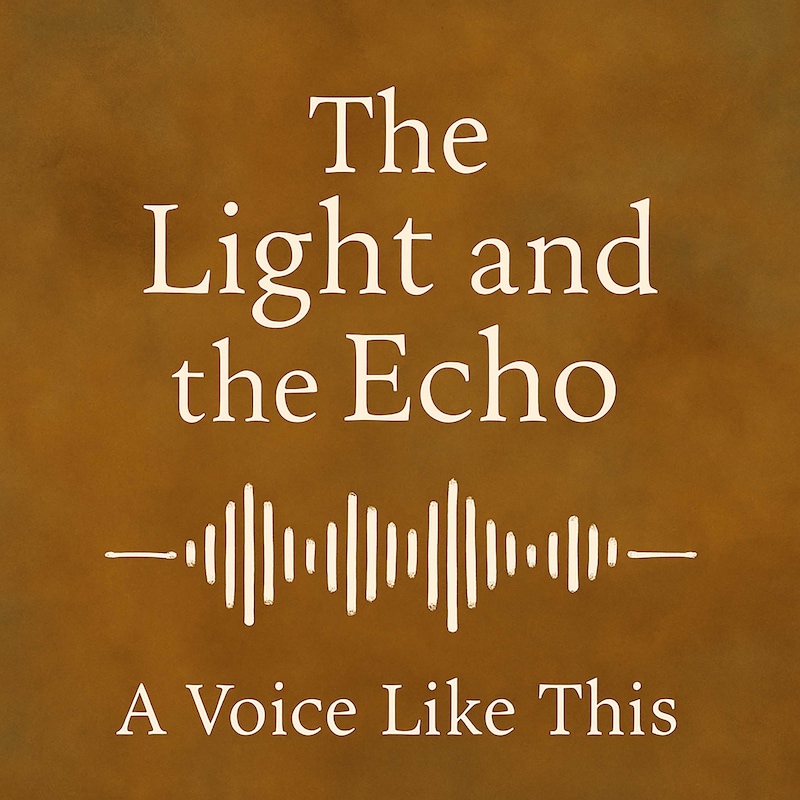 Artwork for podcast A Voice Like This