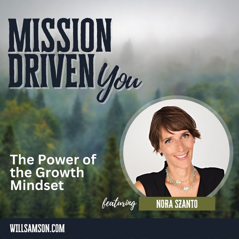 Artwork for podcast Mission Driven You