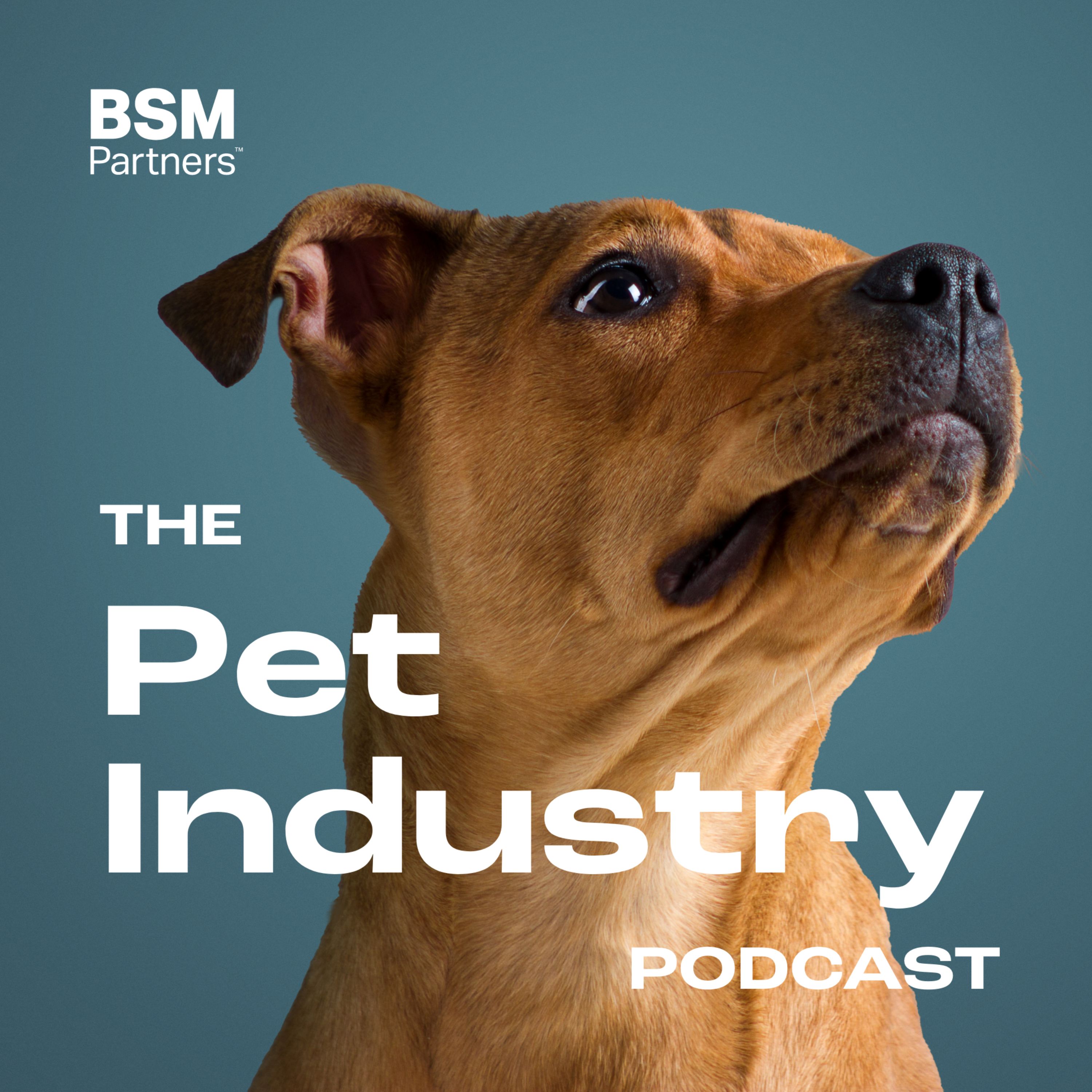 Artwork for podcast The Pet Industry Podcast