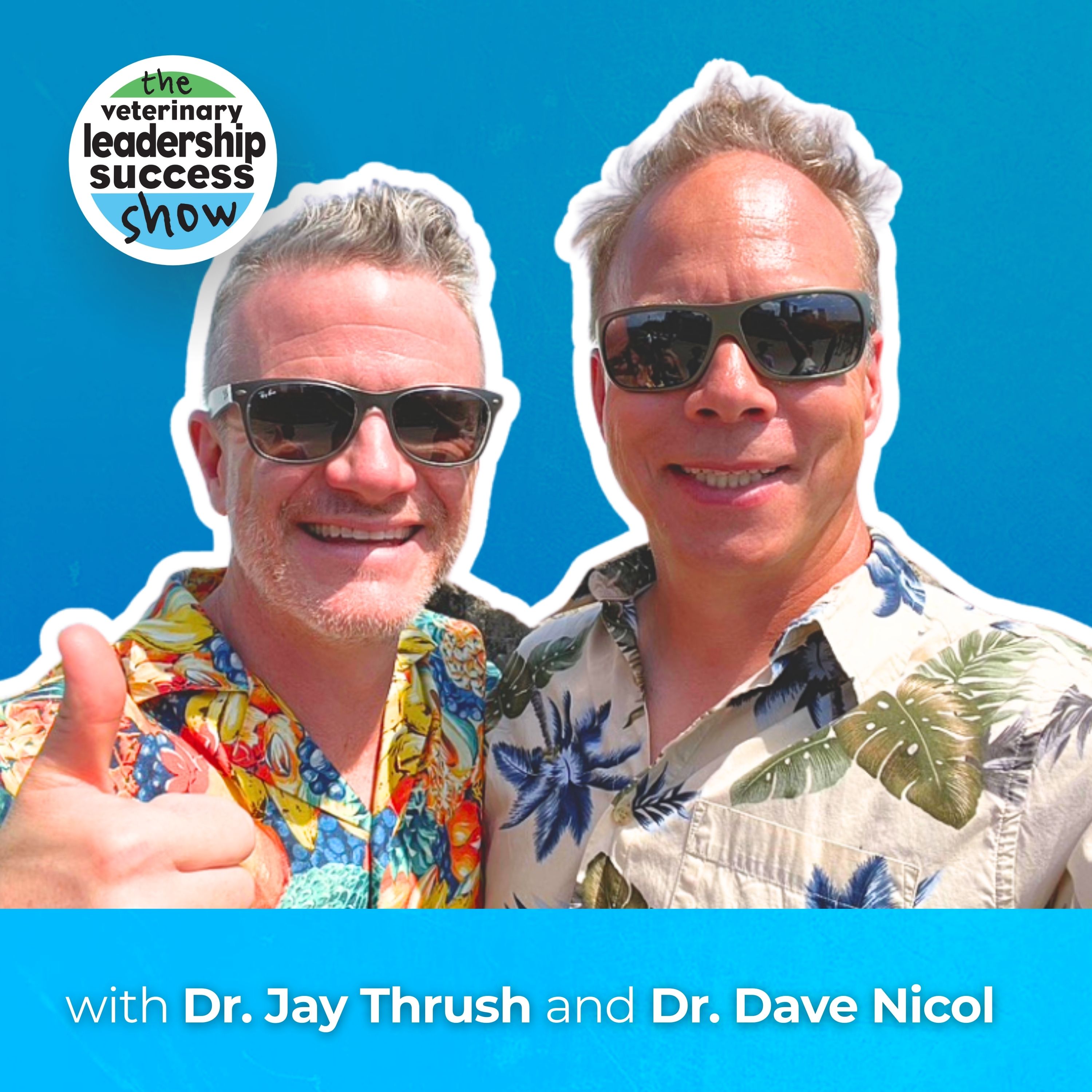 The Veterinary Leadership Success Show