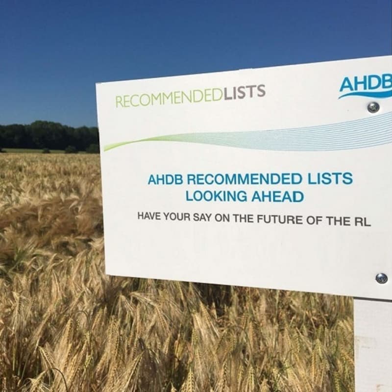Artwork for podcast AHDB Food & Farming